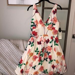 NWT BB Dakota Cream Floral A Line Dress